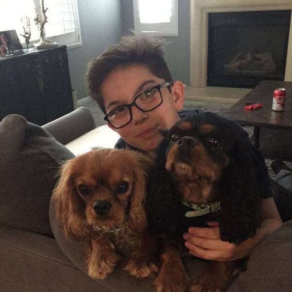 A boy wearing glasses hugging two Cavaliers
